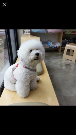 Anna님이 올린 리뷰 사진 3