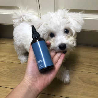 겨울용점퍼님이 올린 리뷰 사진 2