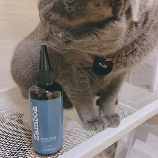 경던님이 올린 리뷰 사진 1