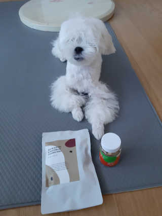 꿍님이 올린 리뷰 사진 1
