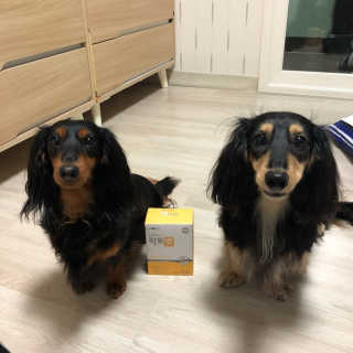 젼님이 올린 리뷰 사진 1