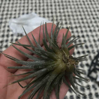 사재긔님이 올린 리뷰 사진 2