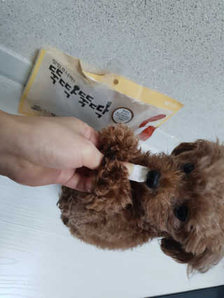 [펫토리아] 뚝딱뚝딱 400g 강아지 간식 베스트5종 — 5점을 준 리뷰어가 2019년 1월 올린 사용 사진