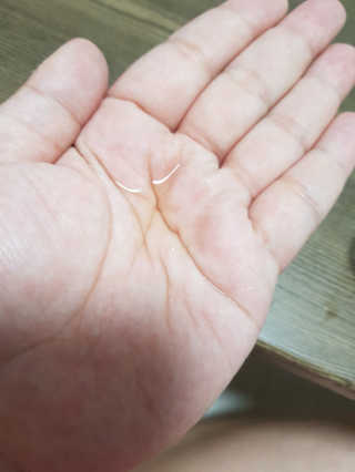 정고미님이 올린 리뷰 사진 2