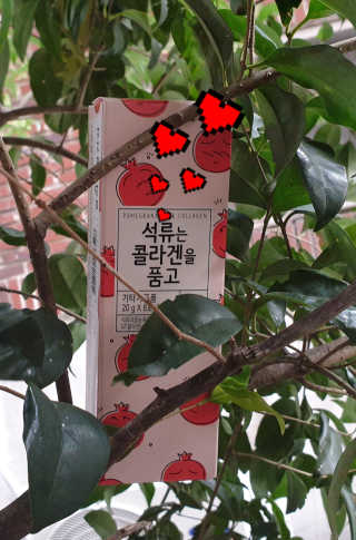 참살이님이 올린 리뷰 사진 1