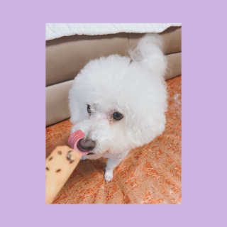 쀼니지브님이 올린 리뷰 사진 4