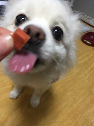 밍크찡님이 올린 리뷰 사진 2