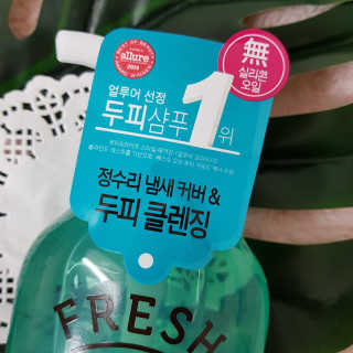 프레시팝 그린허브 레시피 샴푸 — 4.83점을 준 리뷰어가 2018년 5월 올린 사용 사진