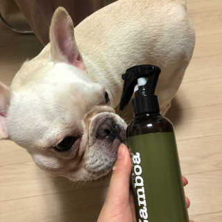 최승은님이 올린 리뷰 사진 3