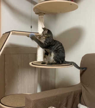만시기집사님이 올린 리뷰 사진 3