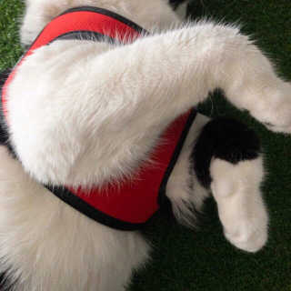 ForgetAboutMe님이 올린 리뷰 사진 3