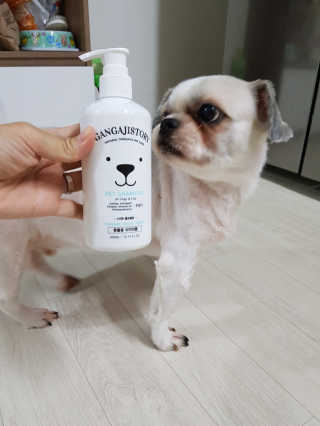 신은채님이 올린 리뷰 사진 2