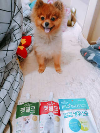 [빙그레] 에버그로 생유산균 1봉（10포입）+펫밀크2팩 — 5점을 준 리뷰어가 2019년 5월 올린 사용 사진