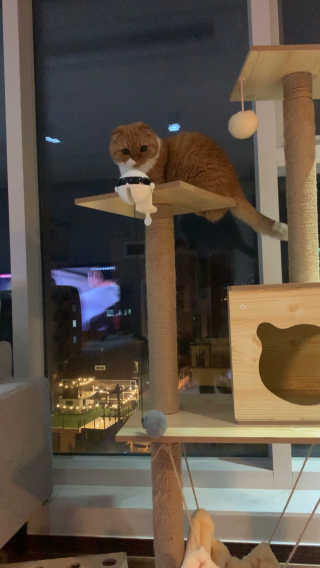 모델윤지님이 올린 리뷰 사진 2