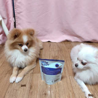 영블리님이 올린 리뷰 사진 1