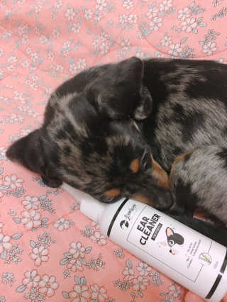혤님님이 올린 리뷰 사진 2