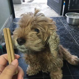 화쀼님이 올린 리뷰 사진 3