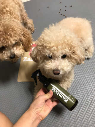 모모맘님이 올린 리뷰 사진 1