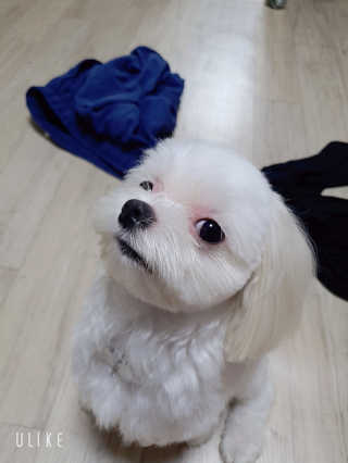 Ranny님이 올린 리뷰 사진 1