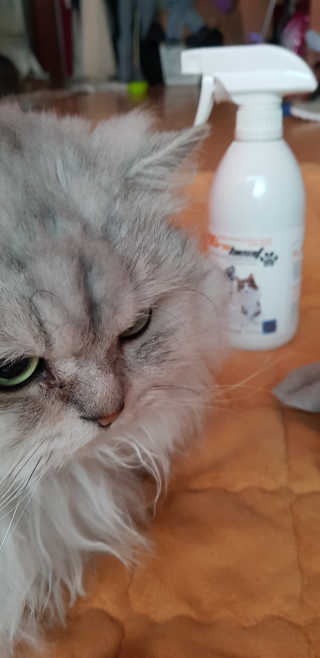 이영실님이 올린 리뷰 사진 3