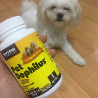 재로우 제로우 펫 도필러스 반려동물 유산균 영양제 70.5g — 5점을 준 리뷰어가 2018년 7월 올린 사용 사진