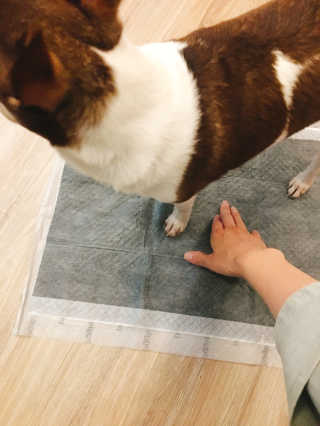 살구사랑님이 올린 리뷰 사진 3