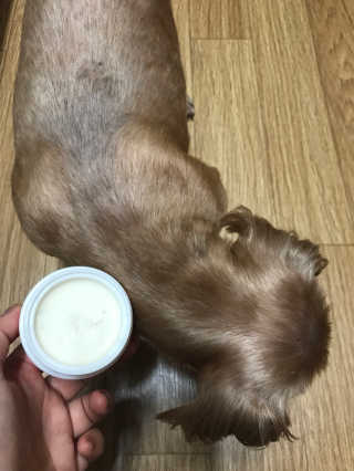 오현주님이 올린 리뷰 사진 4