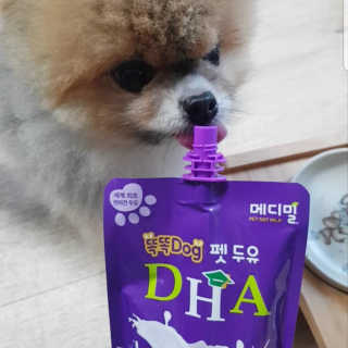 이엘리사님이 올린 리뷰 사진 2
