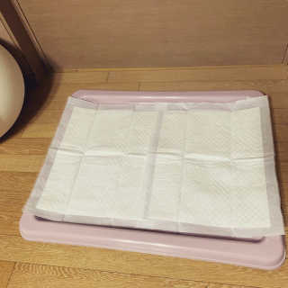 소유님이 올린 리뷰 사진 2