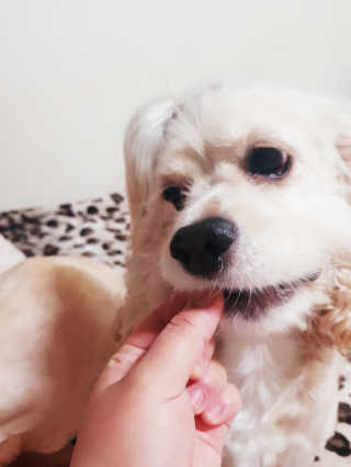 콜보리님이 올린 리뷰 사진 4
