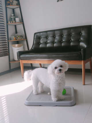 스페이스정님이 올린 리뷰 사진 1