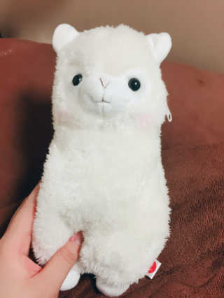 조은지님이 올린 리뷰 사진 2