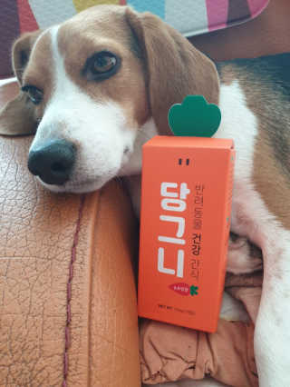 beaglelove님이 올린 리뷰 사진 1