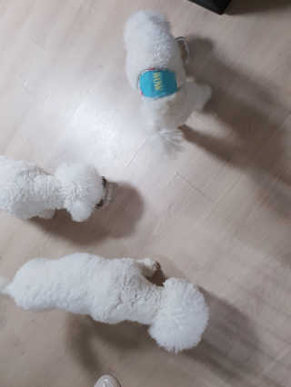 나님a님이 올린 리뷰 사진 2