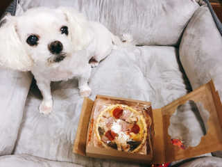 연이님이 올린 리뷰 사진 1