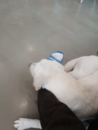 Lamant님이 올린 리뷰 사진 2