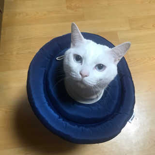 츄댜밍님이 올린 리뷰 사진 1