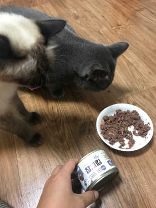 pure님이 올린 리뷰 사진 2