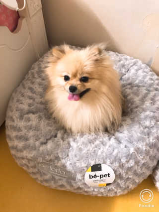 민토리님이 올린 리뷰 사진 3