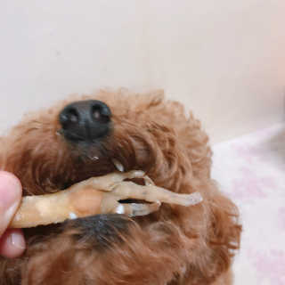파이님이 올린 리뷰 사진 1