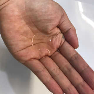 bejiny님이 올린 리뷰 사진 2