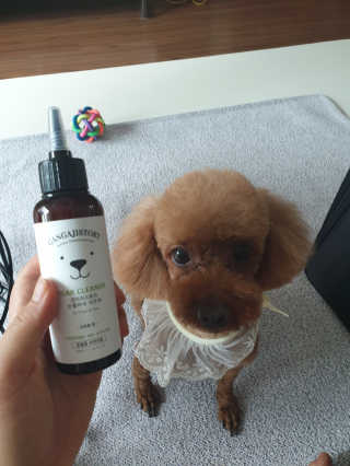 이람람님이 올린 리뷰 사진 4