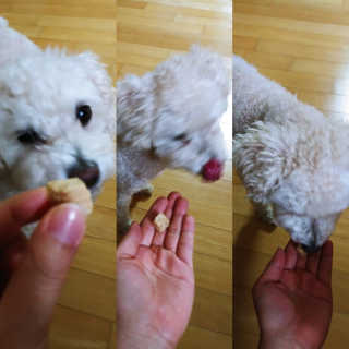 이린님이 올린 리뷰 사진 1