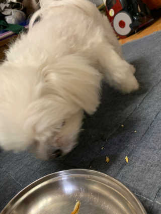 유빙빙님이 올린 리뷰 사진 3