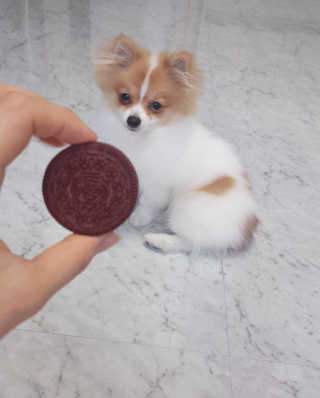 alswyd06님이 올린 리뷰 사진 2