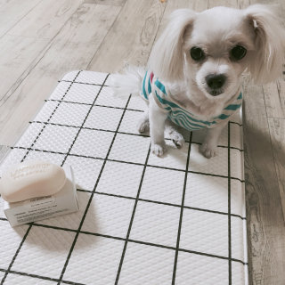 준혁유은맘님이 올린 리뷰 사진 1