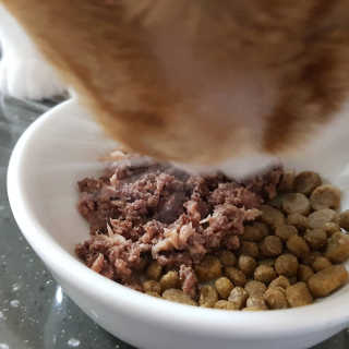 똥수니님이 올린 리뷰 사진 2