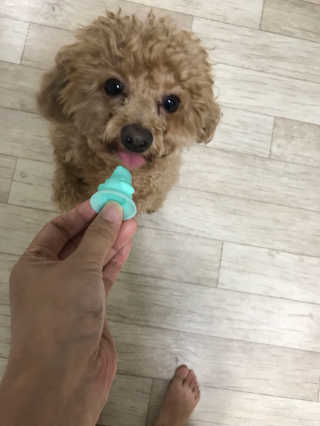 ChristineUm님이 올린 리뷰 사진 1