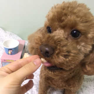 겸재니님이 올린 리뷰 사진 3