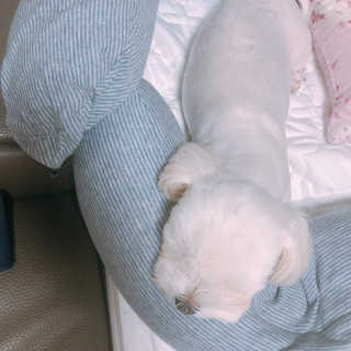 김부건님이 올린 리뷰 사진 4